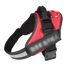 Dog Harness