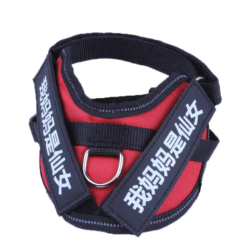 Dog Harness