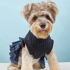 Autumn Winter Pet Supplies Set with Skirt Sweater
