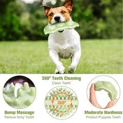 Bite-Resistant Dog Toy Ball for Interactive Chewing