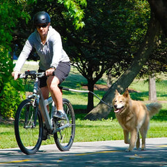 Stainless Steel Dog Leash for Biking Adventures