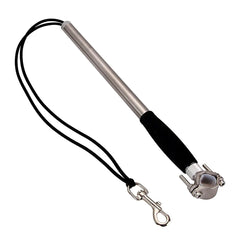 Stainless Steel Dog Leash for Biking Adventures