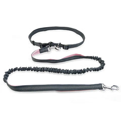 Dog Running Leash for Pet Supplies